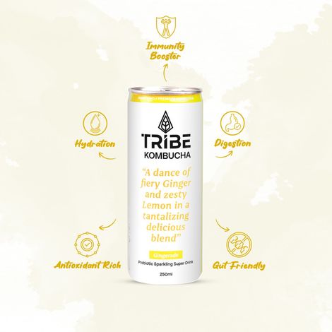 Tribe Kombucha Gingerade Naturally Sparkling Probiotic Super Drink | Gut Friendly