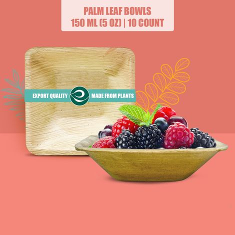 Eco Soul 150 ml Square | 10 Count | Palm Leaf Bowl