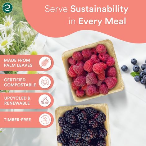 Eco Soul 150 ml Square | 10 Count | Palm Leaf Bowl