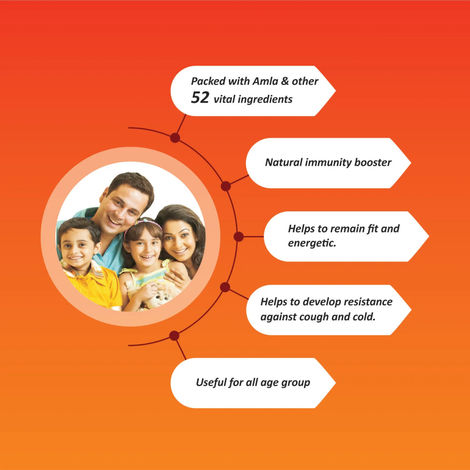 Baidyanath Chyawanparsh Special