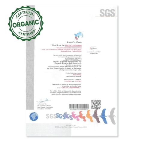 Organic India Groundnut (Peanut) Cold Pressed Oil | Healthy Cooking Oil