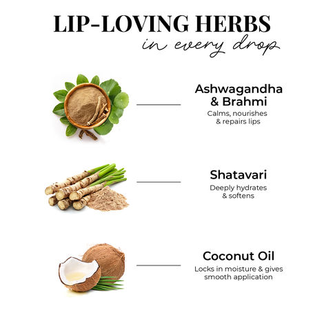 Just Herbs Enriched Liquid Lipstick Kit | Set Of 5 | Nudes And Browns