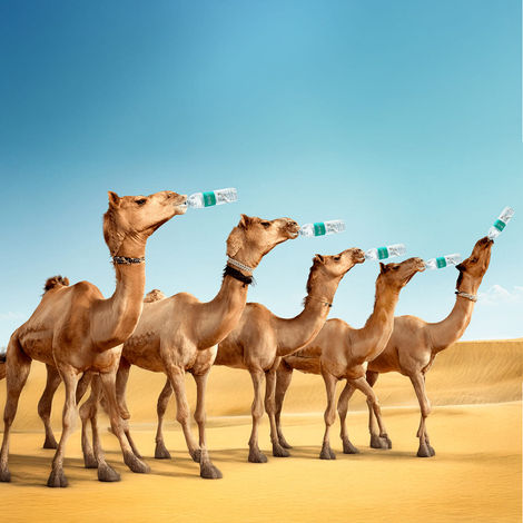 Bisleri Packaged Drinking Water Combo 