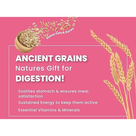 Bark Out Loud | Chicken and Ancient Grains Dog Food for Medium / Large Breed