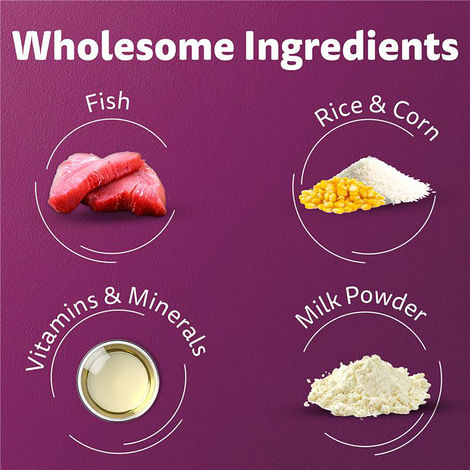 Whiskas Kitten Ocean Fish Flavour Dry Cat Food