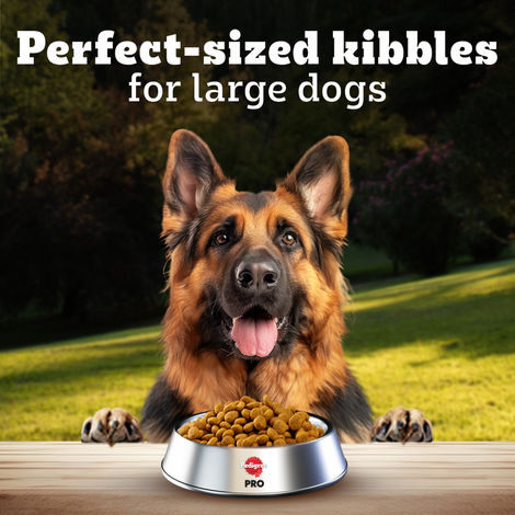 Pedigree PRO Adult Large Breed (18 Months+) Dog Food
