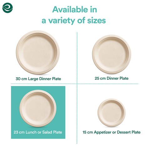 Eco Soul 9 Inch Round | 10 Count | Disposable Plate
