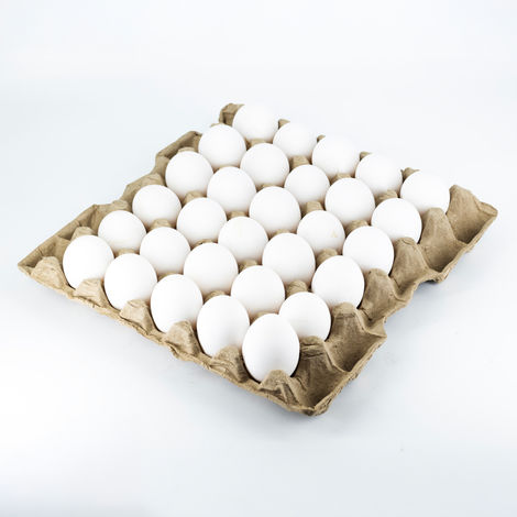 Suguna Delfrez White Eggs