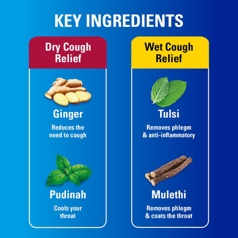 Vicks Cough Syrup, Fast Relief For Dry & Wet Cough, With Tulsi & Ginger