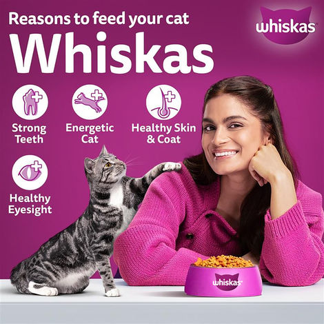 Whiskas Adult Chicken Flavour Dry Cat Food