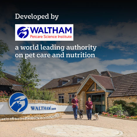 Pedigree PRO Adult Small Breed (9 Months+) Dog Food