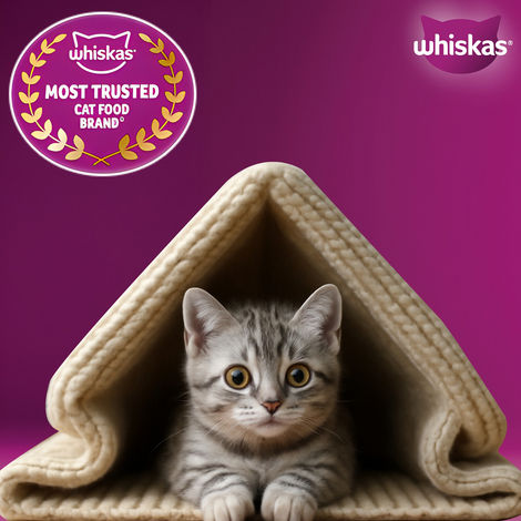Whiskas Kitten Mackerel Flavour Dry Cat Food