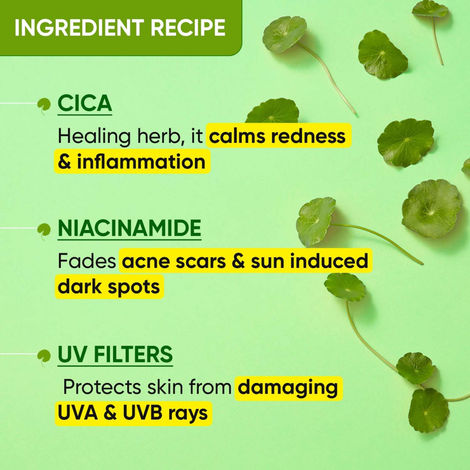 Dot & Key Cica Niacinamide Face Sunscreen SPF 50 PA+++ Uv Protection For Oily And Acne Prone Ski