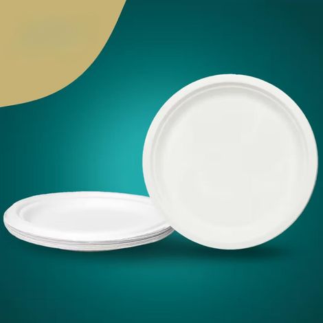 Naturepac Bagasse Plate 7 Inch Round | 25 Pcs