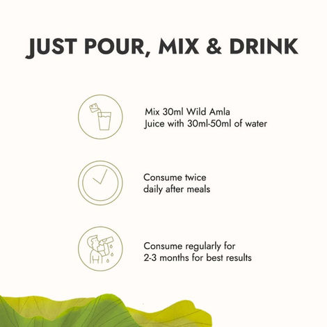 Kapiva Wild Amla Juice