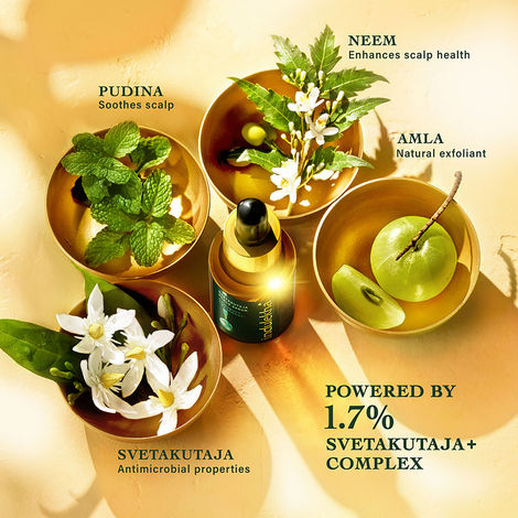Indulekha Svetakutuja Dandruff Treatment Scalp Serum |Ayurvedic serum for dandruff treatment