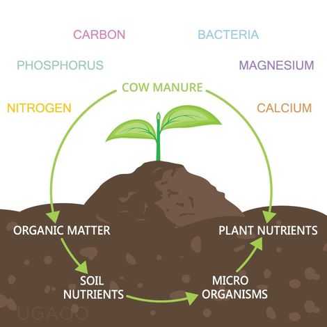 Ugaoo Cow Dung Manure Fertilizers For Plants & Home Gardening