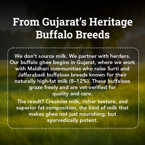 Anveshan Desi Buffalo Ghee