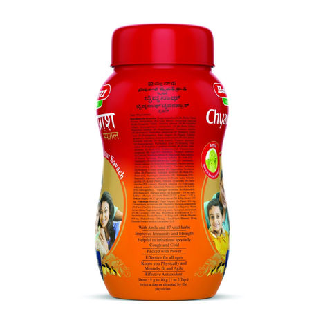 Baidyanath Chyawanparsh Special