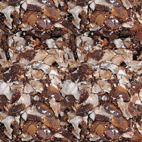 Popular Essentials Tamarind