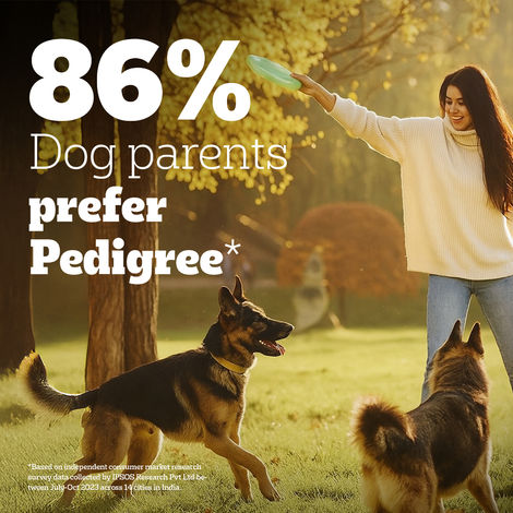 Pedigree PRO Adult Large Breed (18 Months+) Dog Food