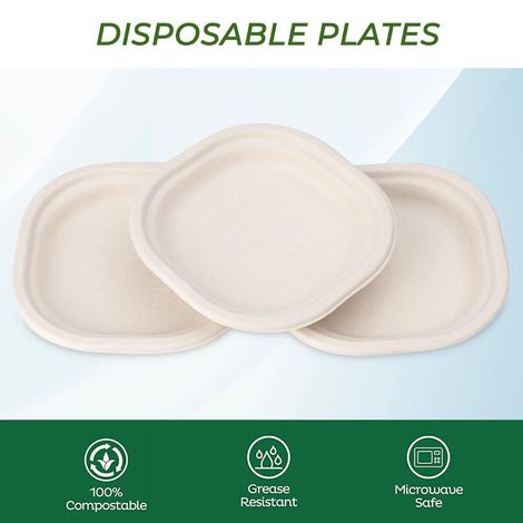 Naturepac Bagasse Plate 7 Inch Square | 25 Pcs