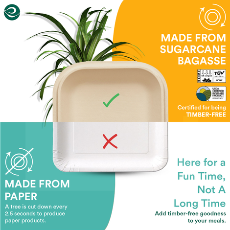 Eco Soul 6 Inch Square | 25 Count | Disposable Plate
