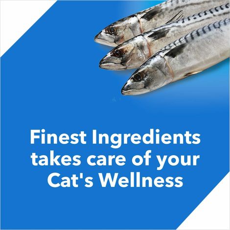 Drools Ocean Fish Adult Cat FOOD
