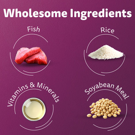 Whiskas Adult Ocean Fish Flavour Dry Cat Food