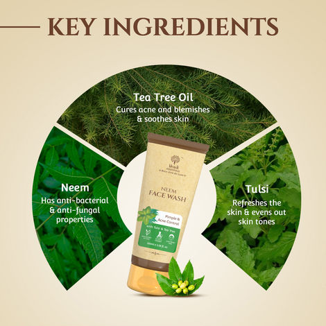Khadi Essentials Neem Face Wash Clears Acne & Pigmentation | Balances Sebum
