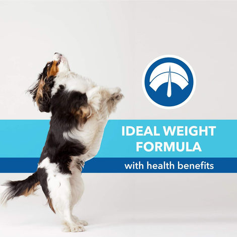 Purepet Chicken & Vegetable Puppy Dog Food