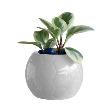 Uagoo Football Ceramic Pot (White)