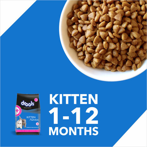 Drools Kitten (1-12 Months) Dry Cat Food With Free Container - Ocean Fish