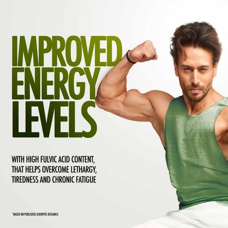 Kapiva Himalaya Shilajit