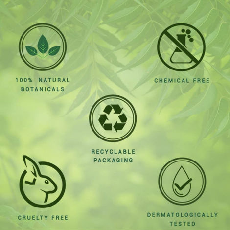 Biotique Fresh Neem Anti Dandruff Shampoo & Conditioner