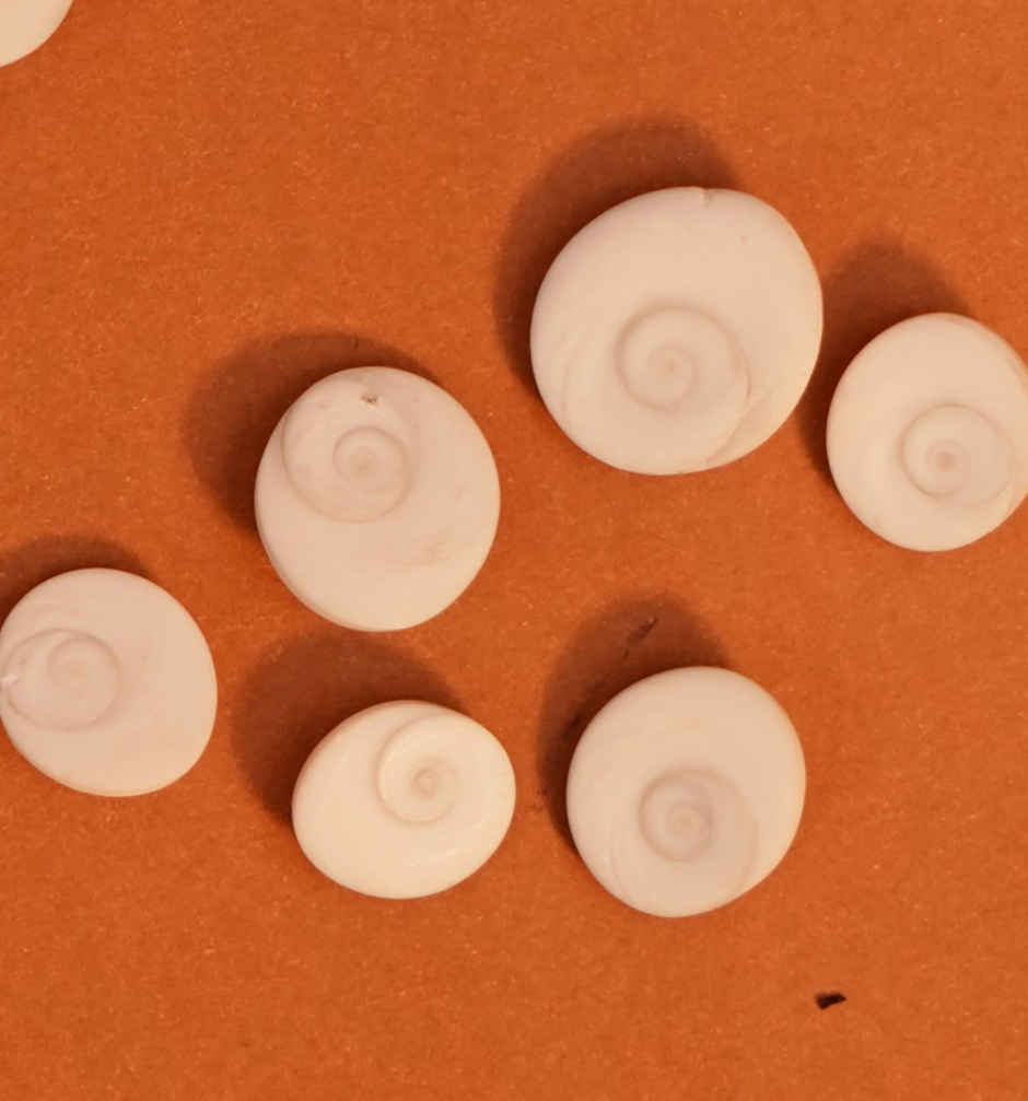 Gomti Chakra | ServDharm