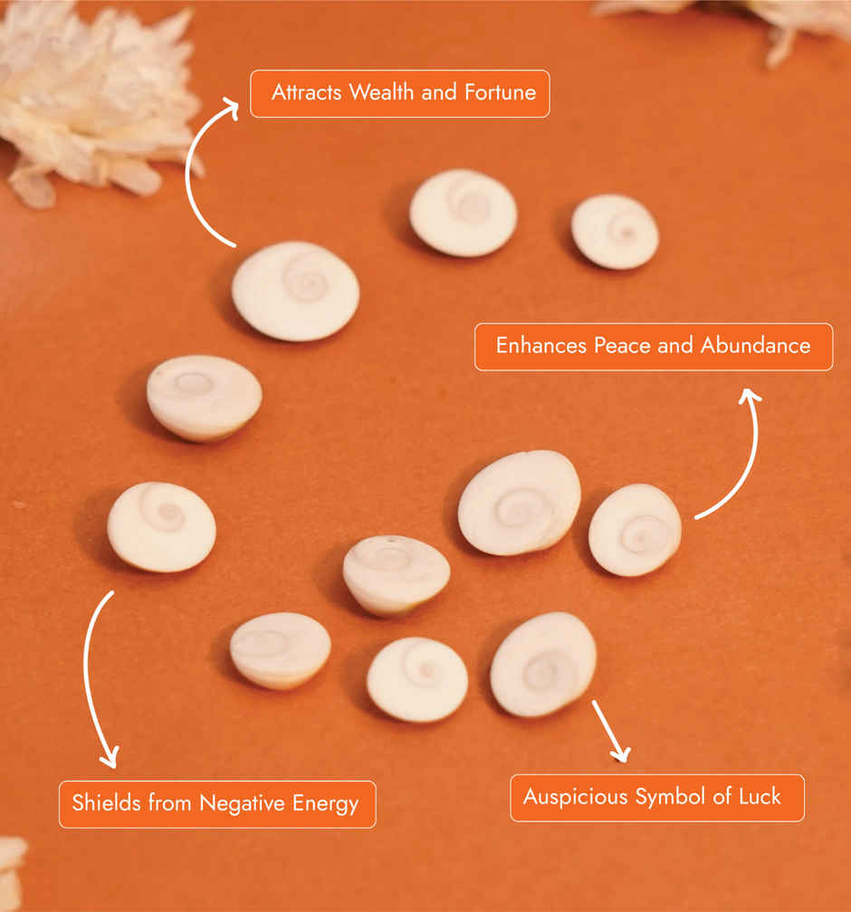 Gomti Chakra | ServDharm