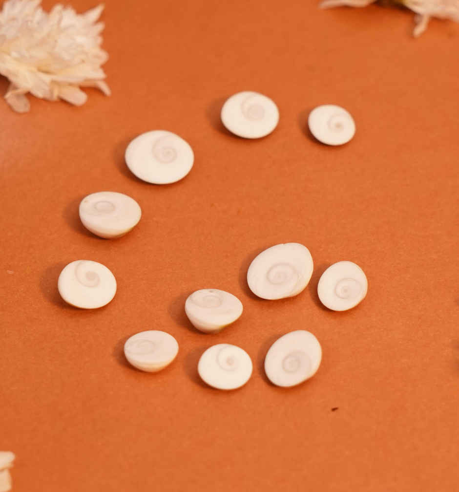 Gomti Chakra | ServDharm