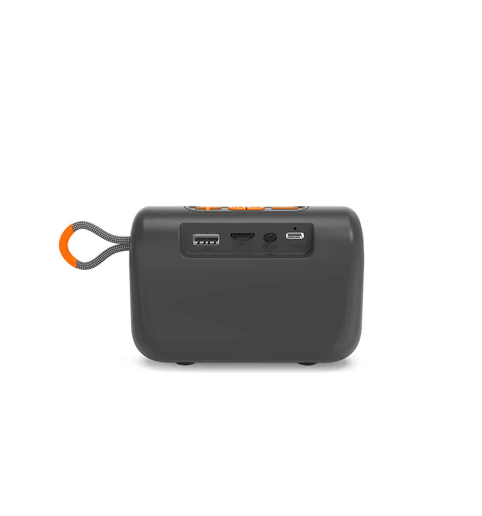 Swiss Military Audio Ancha Mi Speaker | Black