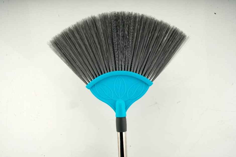 Proclean V-Fan Brush | Zala Broom | With SS Telescopic Handle | 5 Feet