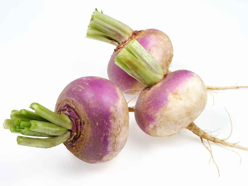 Turnip