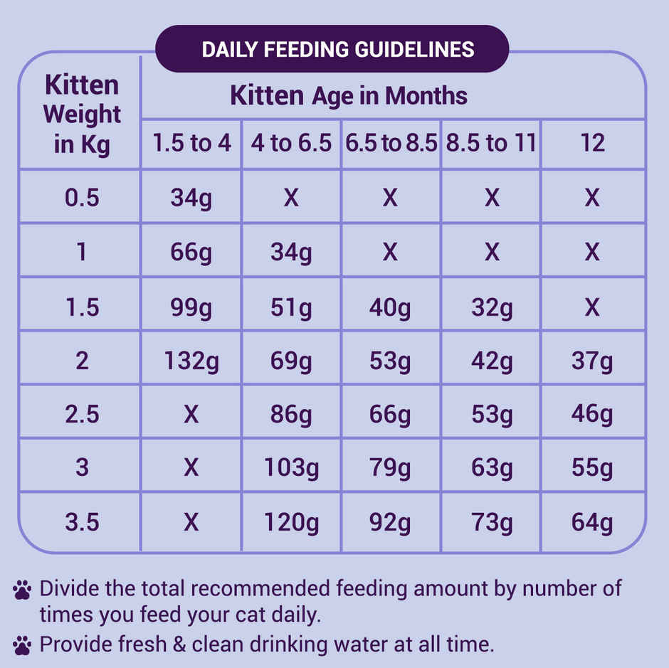 Purrfeto Dry Cat FOOD Chicken And Rice | Kitten FOOD