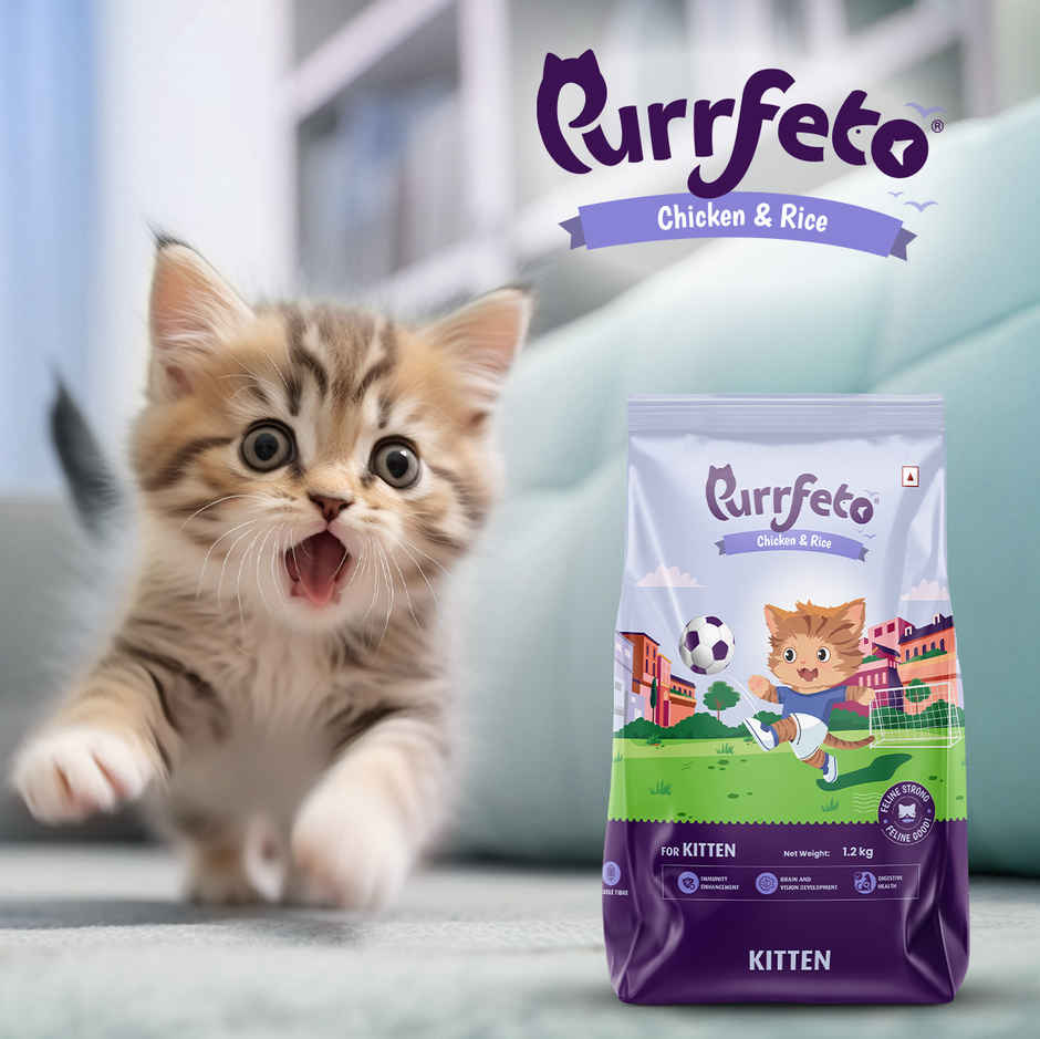 Purrfeto Dry Cat FOOD Chicken And Rice | Kitten FOOD