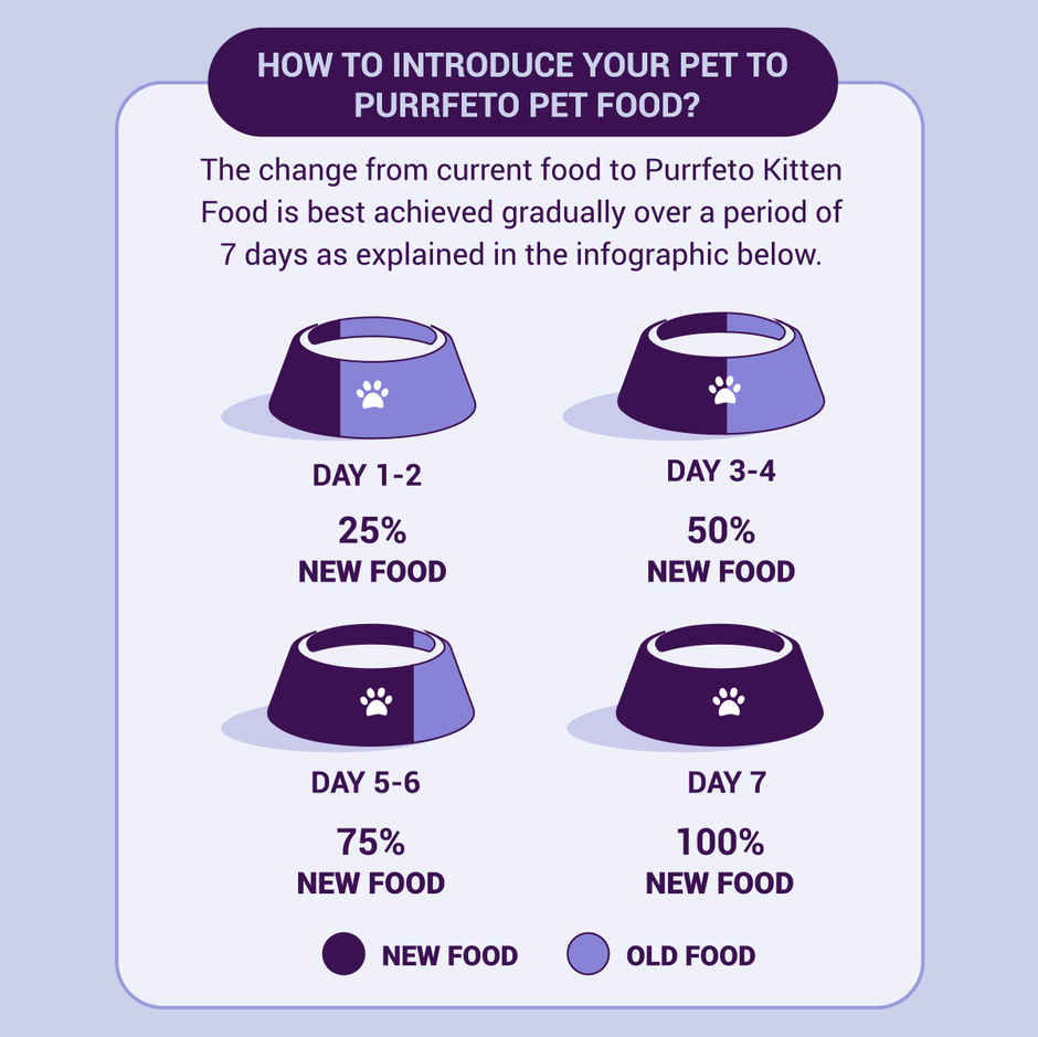 Purrfeto Dry Cat FOOD Chicken And Rice | Kitten FOOD