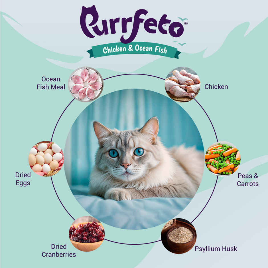 Purrfeto Dry Cat Food Chicken & Ocean Fish | Adult