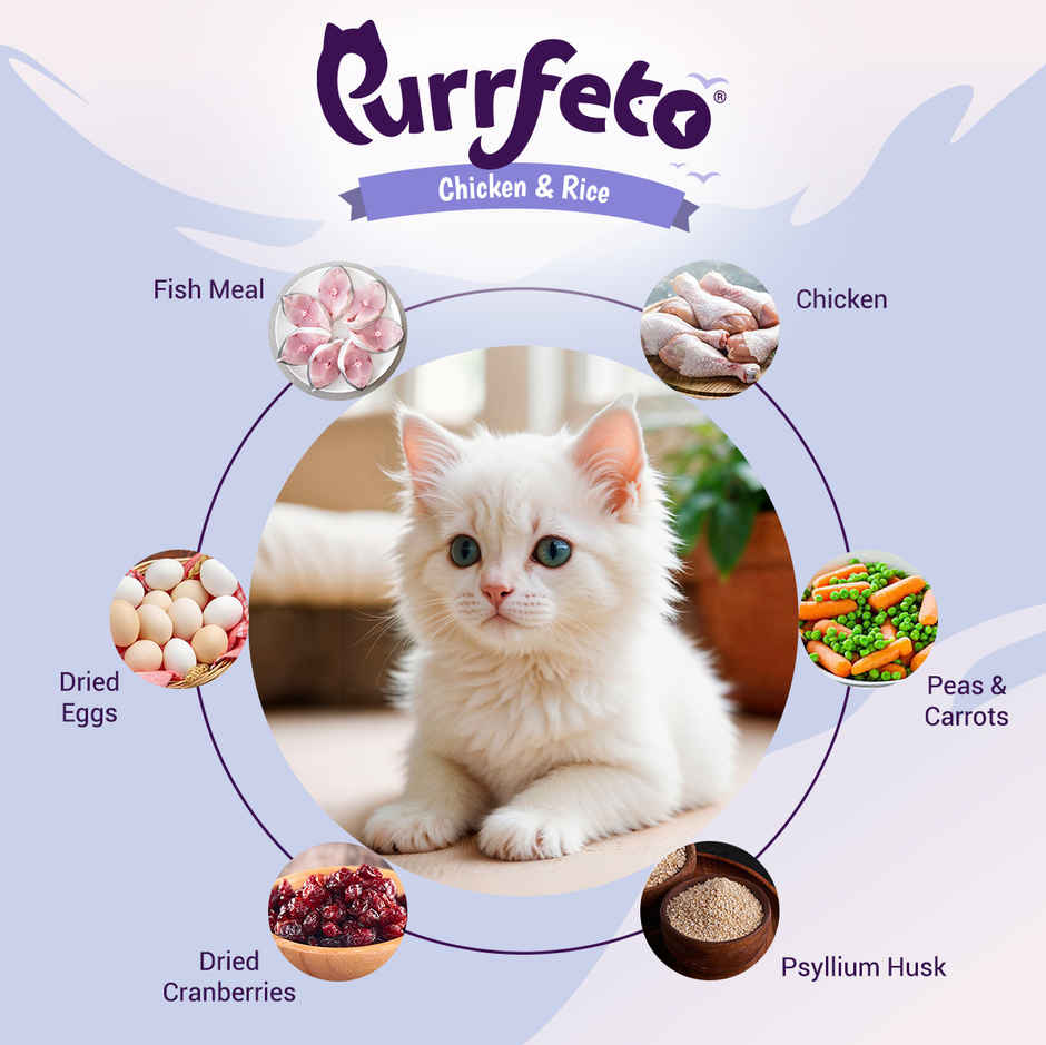 Purrfeto Dry Cat FOOD Chicken And Rice | Kitten FOOD