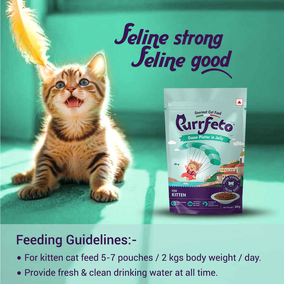 Purrfeto Wet Cat food Oceanfish recipe in Jelly | Kittens
