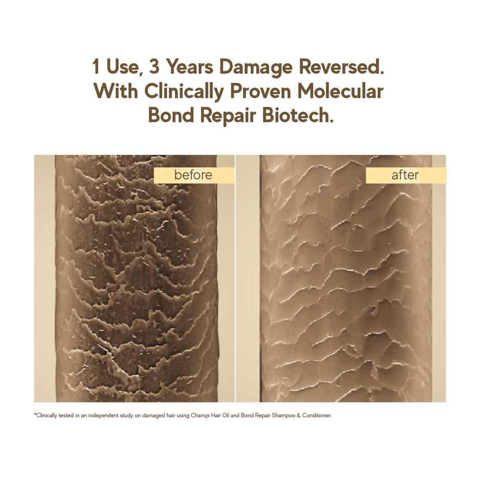 inde wild Champi Bond Repair Conditioner | Hydrating, Frizz Control & Anti Breakage Formula