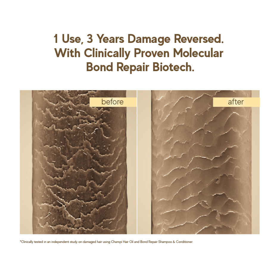 inde wild Champi Bond Repair Conditioner - Hydrating, Frizz Control & Anti Breakage Formula