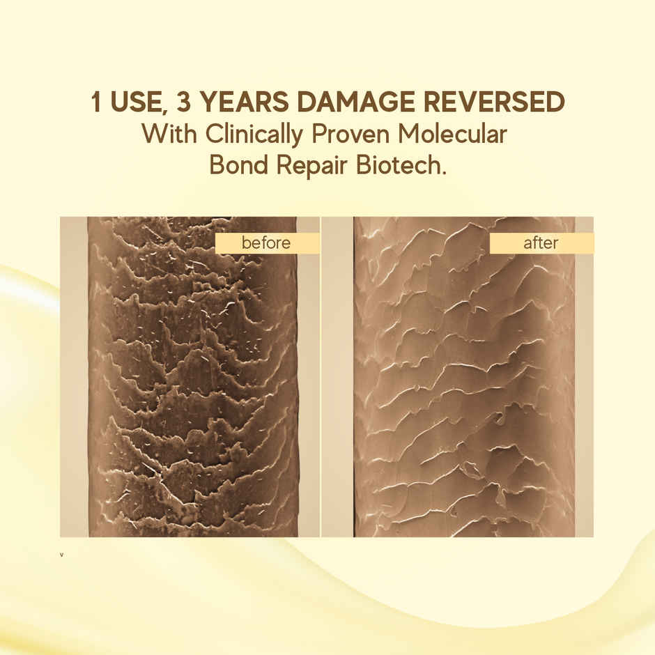 inde wild Champi Bond Repair Conditioner | Hydrating, Frizz Control & Anti Breakage Formula